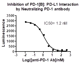 PD-1[Biotinylated]: PD-L1 Inhibitor Screening Assay Kit