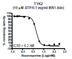 TYK2 (Tyrosine Kinase 2) Assay Kit