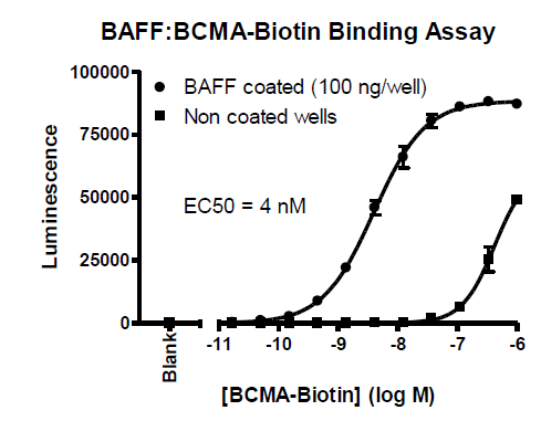 BAFF:BCMA[Biotinylated] Inhibitor Screening Assay Kit