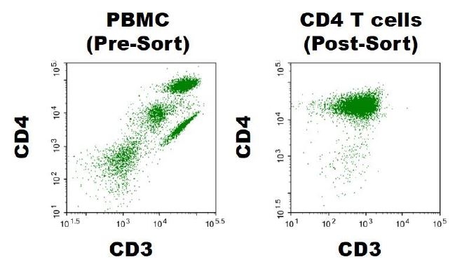 CD4+ T cells, Negatively Selected (Human)