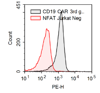 Anti-CD19 CAR / NFAT (Luciferase) Reporter Jurkat Cell Line (CD19 SCFV-CD28-4-1BB-CD3aeta)