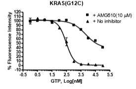 KRAS(G12C) Nucleotide Exchange Assay Kit