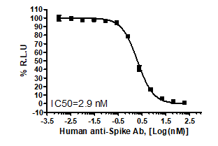 Spike S1 RBD (SARS-CoV-2): ACE2 Inhibitor Screening Assay Kit