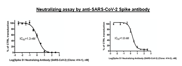 Spike (SARS-CoV-2) Pseudotyped Lentivirus (Luc Reporter)