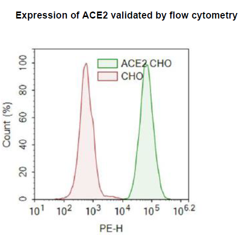ACE2 - CHO Recombinant Cell Line