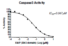 Caspase-3 Homogeneous Assay Kit