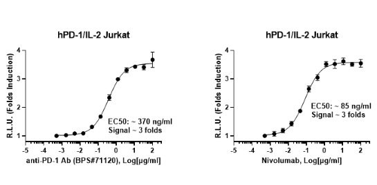 Dose-response curve of PD-1/IL-2 Luciferase Reporter Jurkat Cell Line in response to Anti-PD-1 Neutralizing Antibody and Nivolumab.