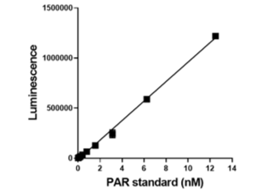 Example of PAR standard curve.