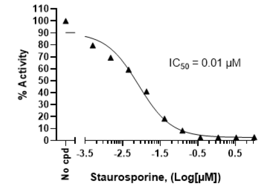 Inhibition of CLK1 kinase activity by Staurosporine.