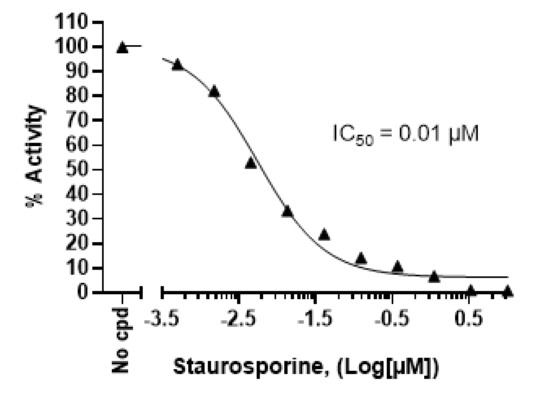 Inhibition of CLK3 kinase activity by Staurosporine.