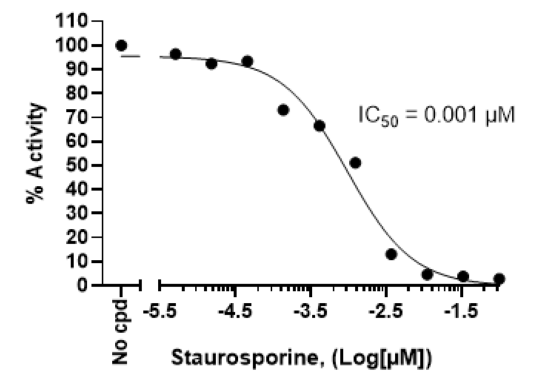 Inhibition of TNK1 kinase activity by Staurosporine.