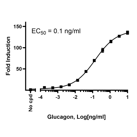 Gcgr Cell Line Glucagon Receptor (GCGR)/CRE Luciferase Reporter HEK293 Cell Line GCGR ...
