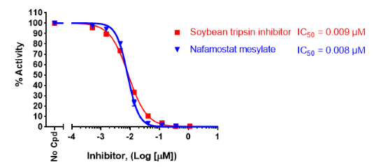 Human Trypsin-2 activity is inhibited by soybean trypsin inhibitor and nafamostat mesylate