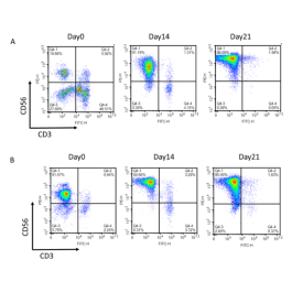 NK Cell Expansion Kit NK cells 78927