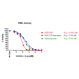 Pim Test Kit Chemi-Verse™ PIM1 Kinase Assay Kit PIM1 82525