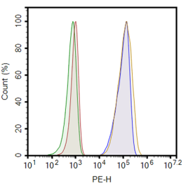 EGFR (L858R-T790M-C797S) A549 Cell Line