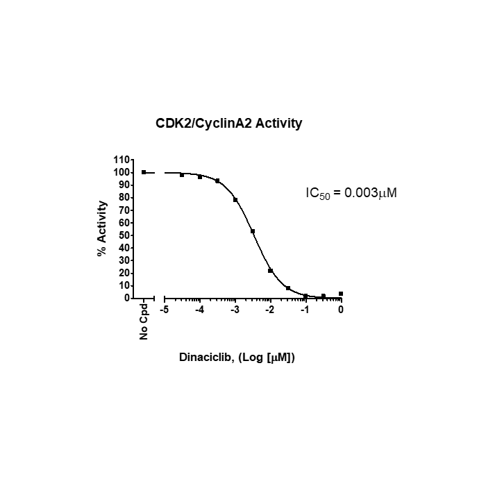 CDK2 Assay Kit CDK2 79599