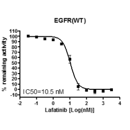 あずきページ EGFR Kinase Assay Kit EGFR 40321