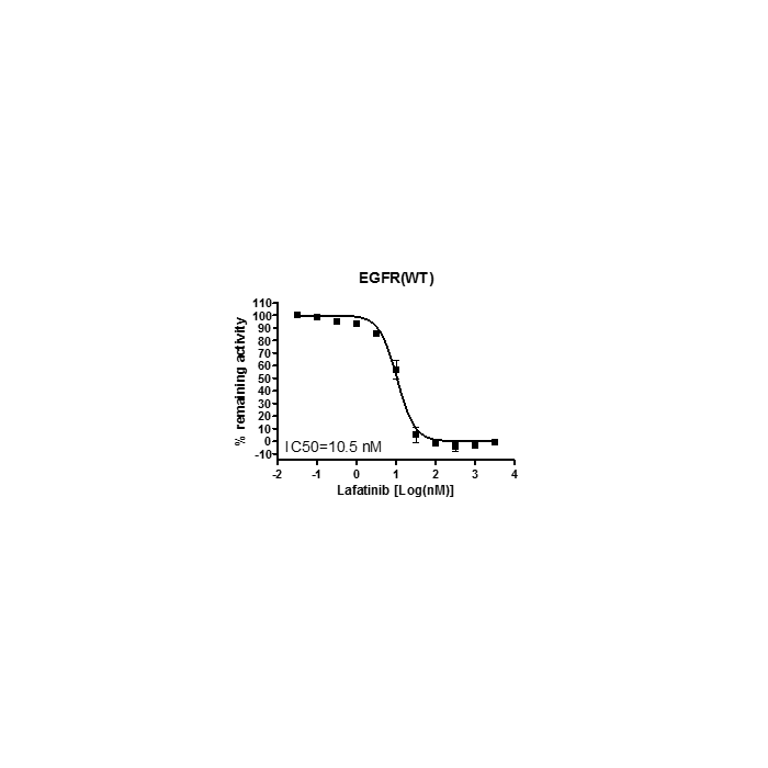 EGFR Kinase Assay Kit EGFR 40321