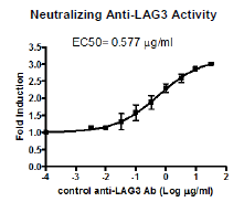 Anti-LAG3, Neutralizing Antibody
