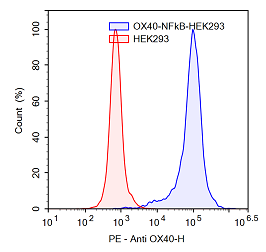 OX40 / NF-kappaB Reporter - HEK293 Recombinant Cell Line