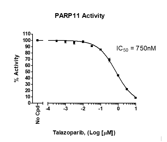 PARP11 Chemiluminescent Assay Kit
