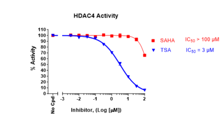 HDAC4 Fluorogenic Assay Kit HDAC4 50064