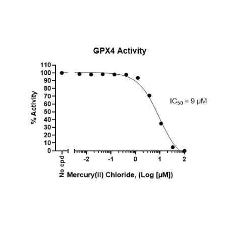 GPX4 Fluorogenic Assay Kit