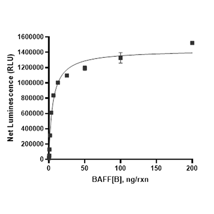 Baff Using Bio Beads BAFF, His-Avi-Tag, Biotin-Labeled Recombinant 100220