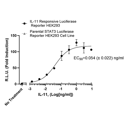 IL-11 Responsive Luciferase Reporter HEK293 Line