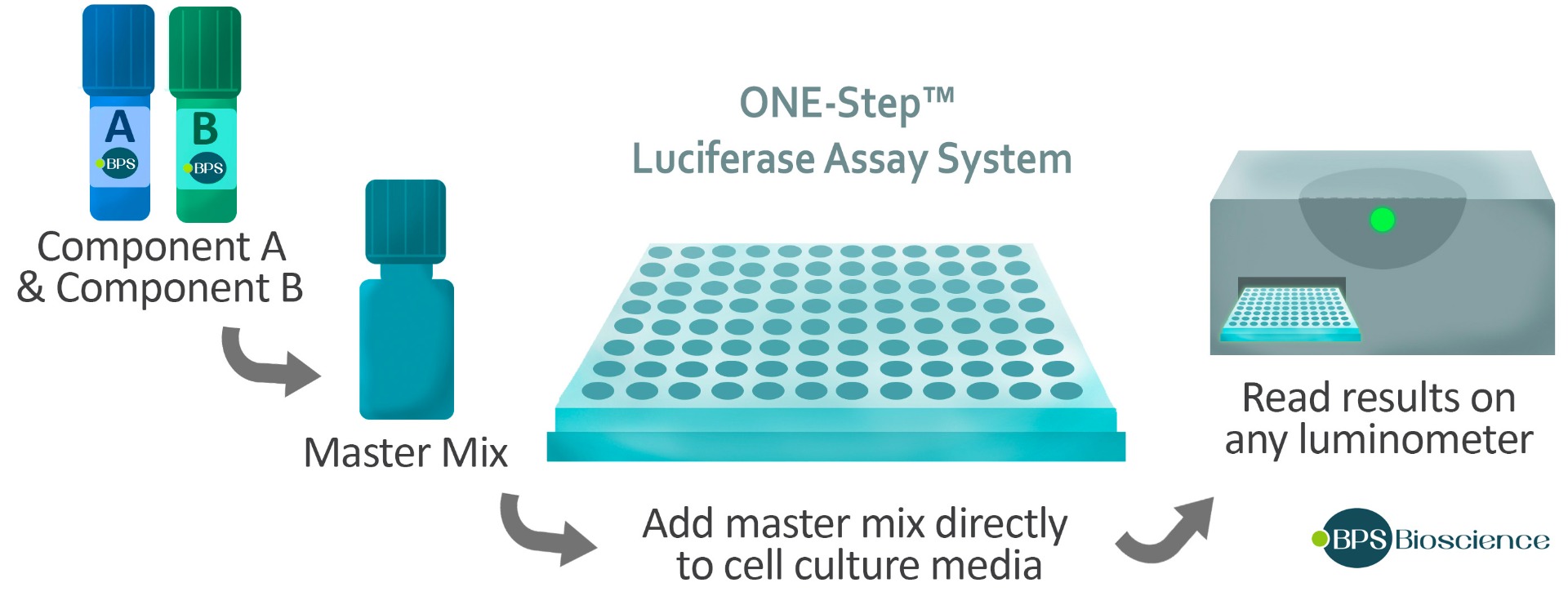 One-Step Luciferase Assay System