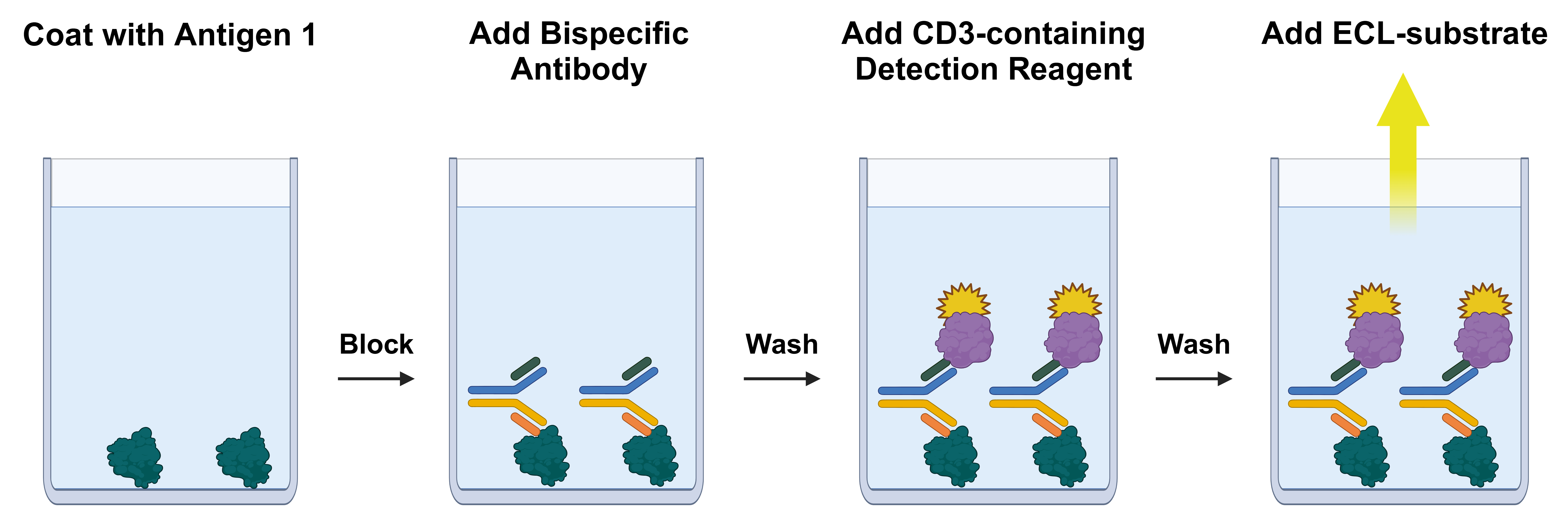 Bispecific Claudin-18.2:CD3 Bridging Chemiluminescence ELISA Kit