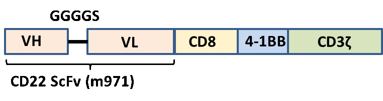Anti-CD22 CAR Lentivirus