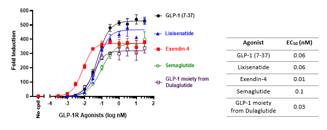 GLP-1R Cell Line EC50