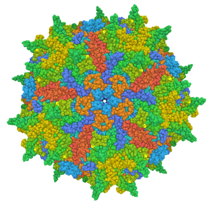 AAV and Gene Therapy Products