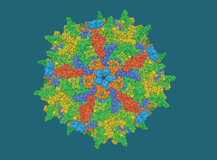 AAV and Gene Therapy