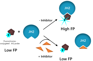 Kinase JH2 Domain Inhibitor Screening