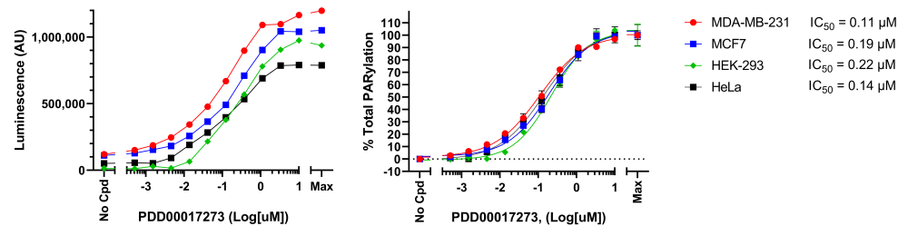 Effect of PARG inhibitor PDD00017273 various cell lines