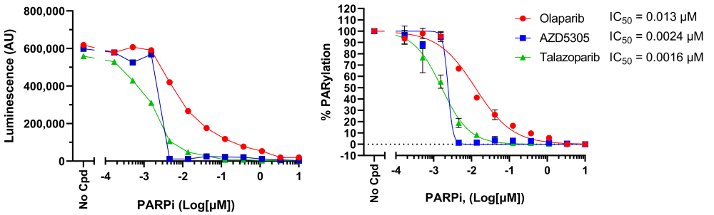 Effect of PARP inhibitors HEK293 cells