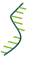 RNA & DNA Enzymes