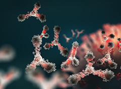 SARS-CoV-2 Antibody Detection
