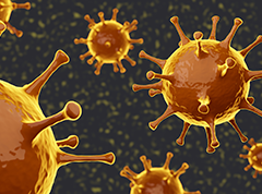 SARS-CoV-2 Variants: Evading the Immune System