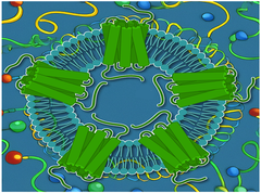 Virus-like Particles-embeded Proteins