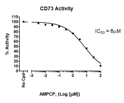 CD73 IC50 Activity