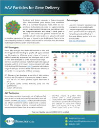 AAV Particles for Gene Delivery Flyer