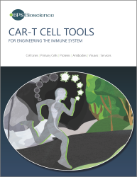 CAR-T Cell Therapy Brochure