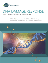 DNA Damage Response Brochure