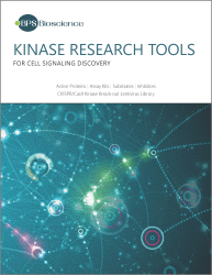 Kinase Research Tools Brochure