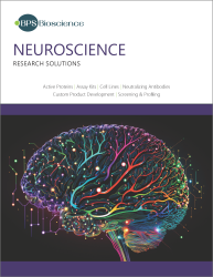 Neuroscience Brochure