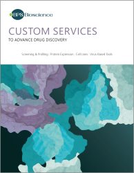 Custom Services Brochure